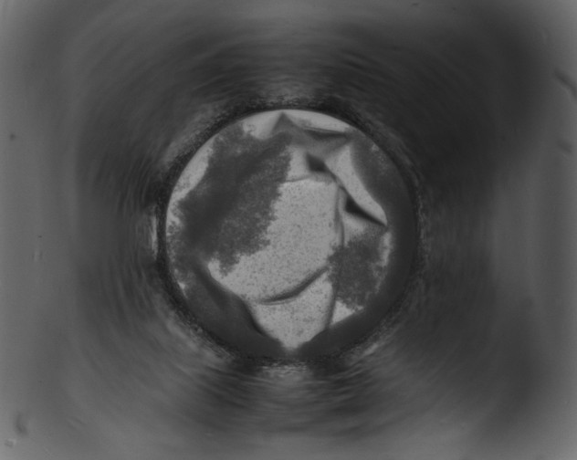 X0000103250067200809251401