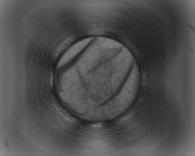 X0000103250068200809251401