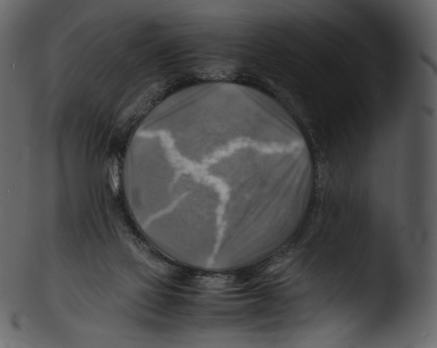 X0000103250069200809251401
