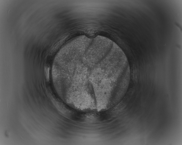 X0000103250070200809251401