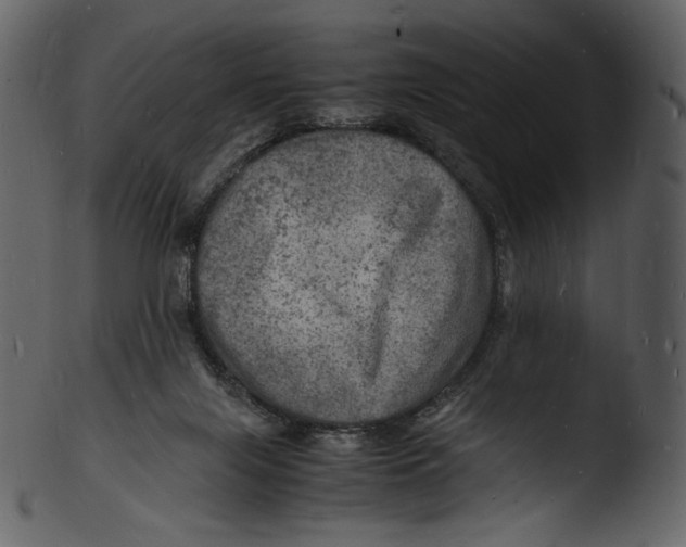 X0000103250071200809251401