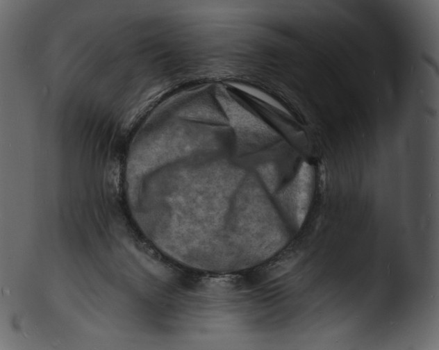X0000103250072200809251401