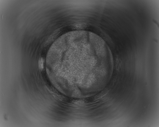 X0000103250075200809251401