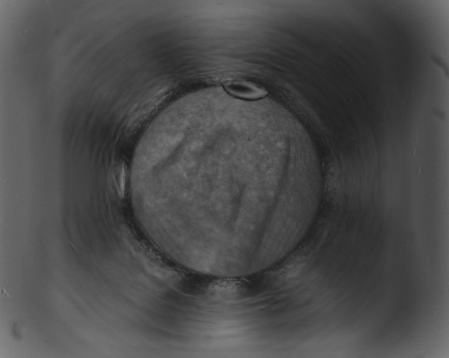X0000103250076200809251401