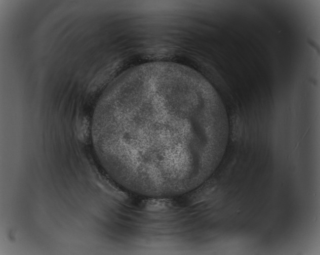 X0000103250077200809251401