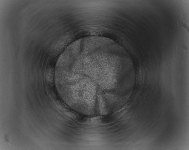 X0000103250078200809251401