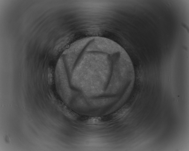 X0000103250080200809251401
