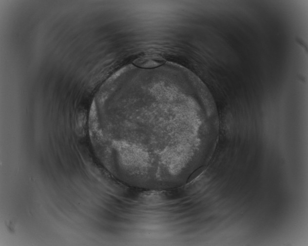 X0000103250082200809251401