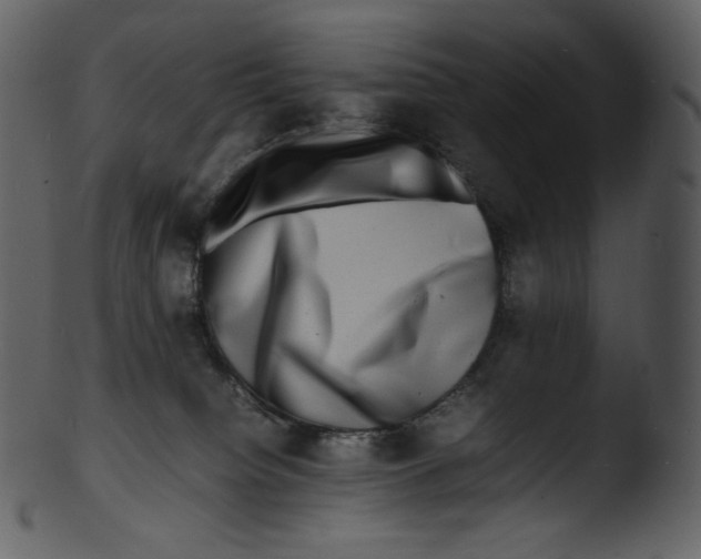 X0000103250084200809251401