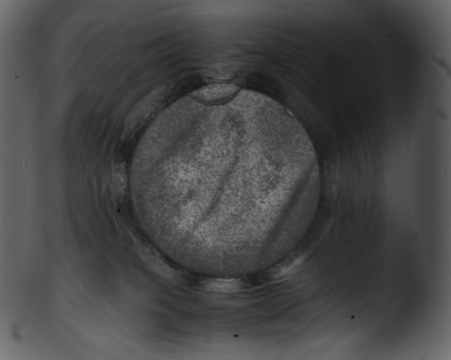 X0000103250085200809251401