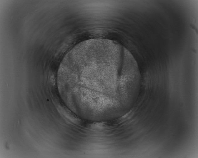 X0000103250086200809251402