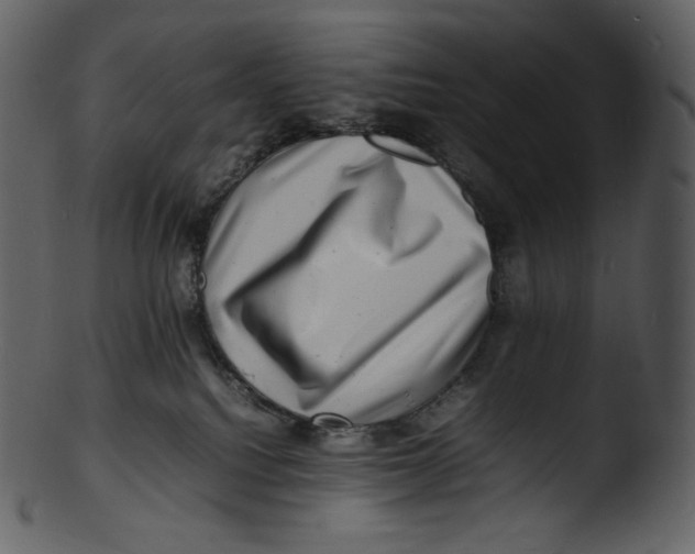 X0000103250088200809251402