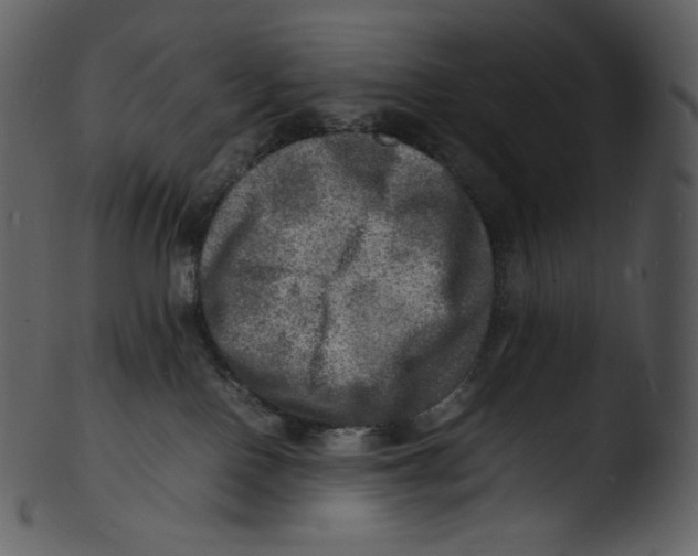 X0000103250090200809251402