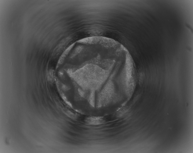 X0000103250093200809251402