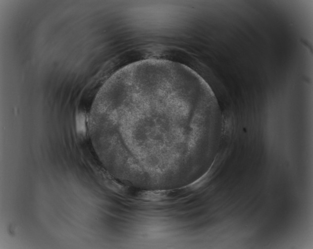 X0000103250094200809251402