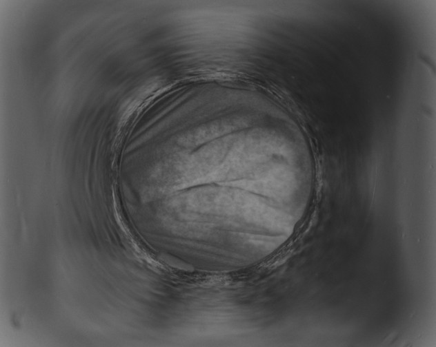 X0000103250097200809251401