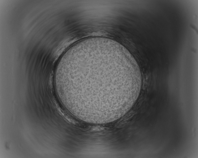 X0000103250098200809251401