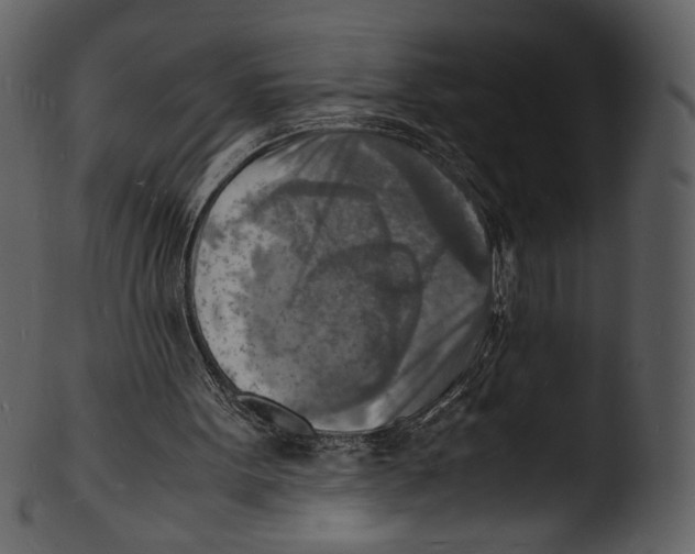 X0000103250099200809251401