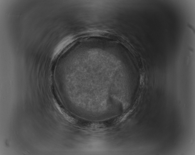 X0000103250101200809251401