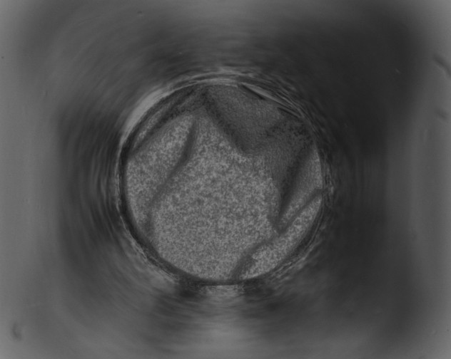 X0000103250102200809251401