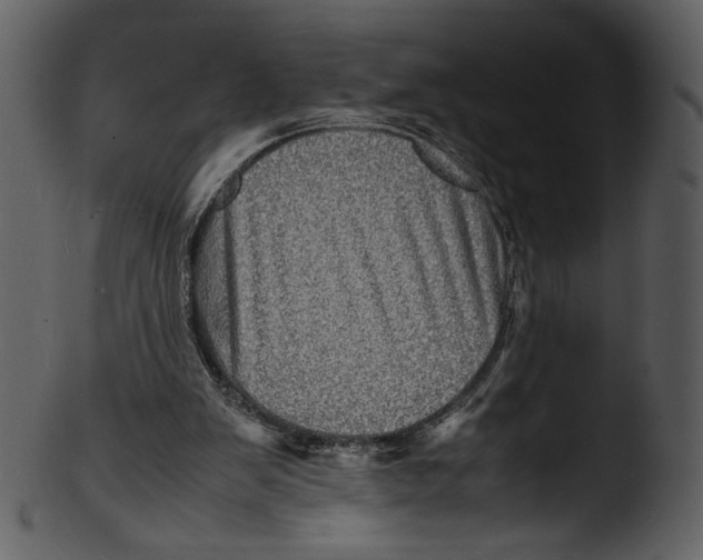 X0000103250103200809251401