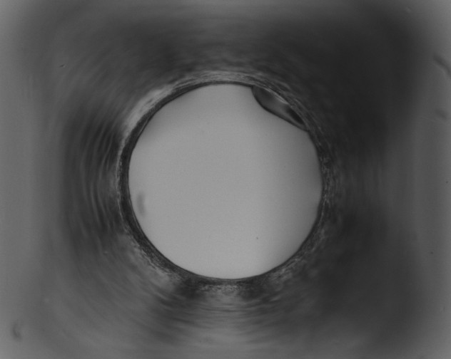 X0000103250104200809251401