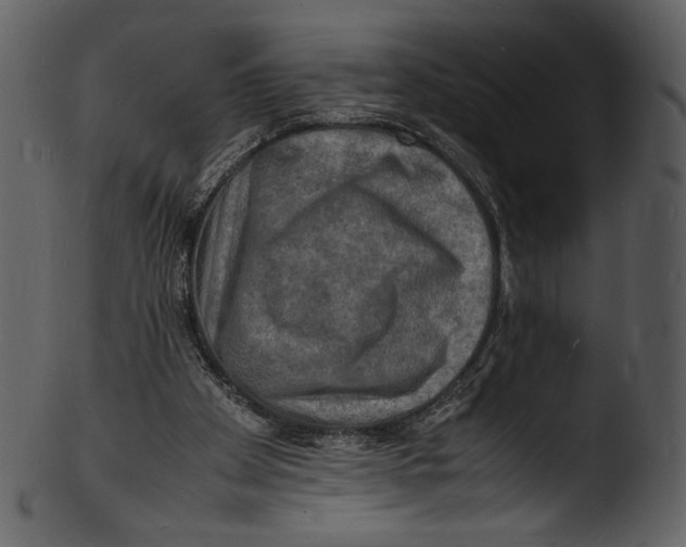 X0000103250105200809251401