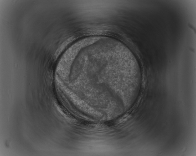 X0000103250107200809251401