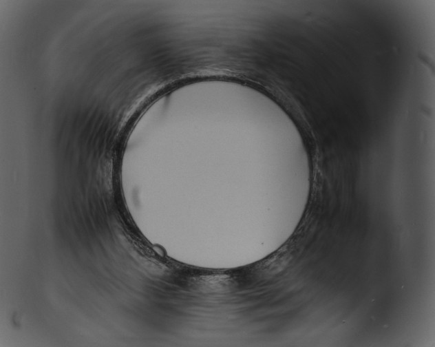 X0000103250108200809251401