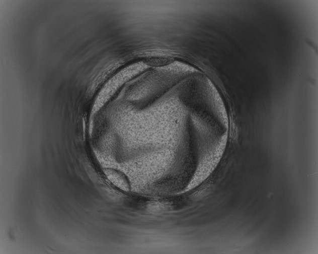 X0000103250109200809251401