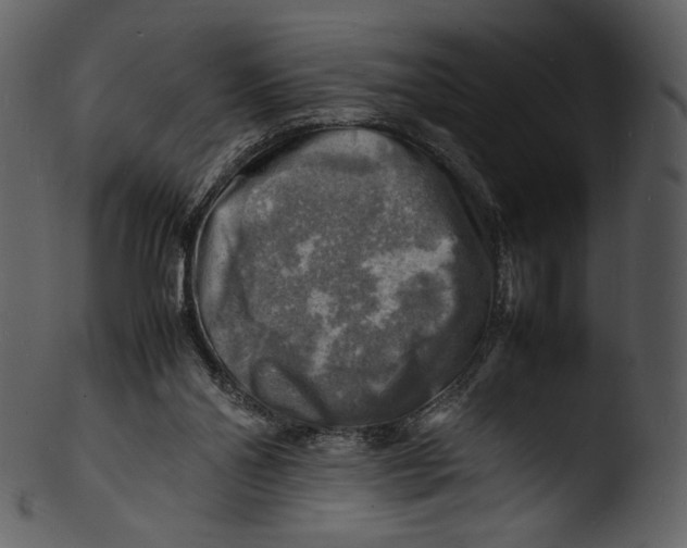 X0000103250110200809251401