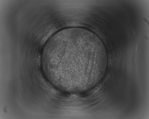 X0000103250111200809251401