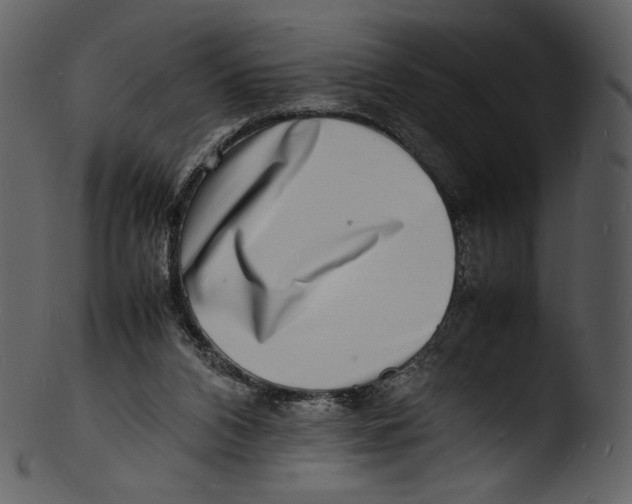 X0000103250112200809251401
