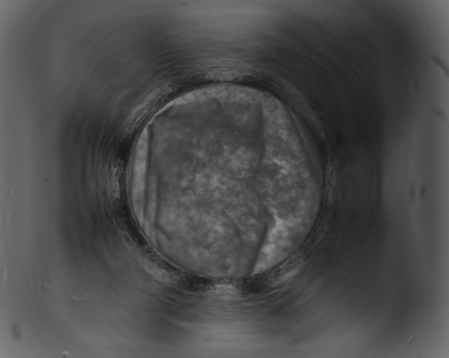 X0000103250114200809251401
