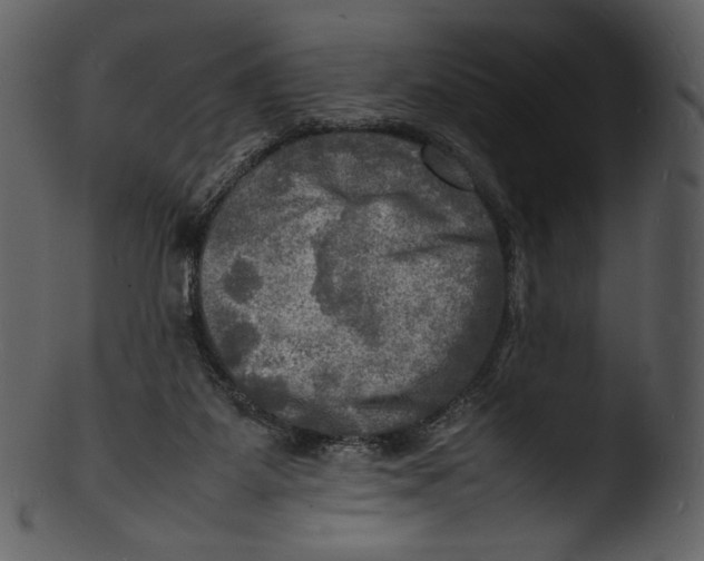 X0000103250115200809251401