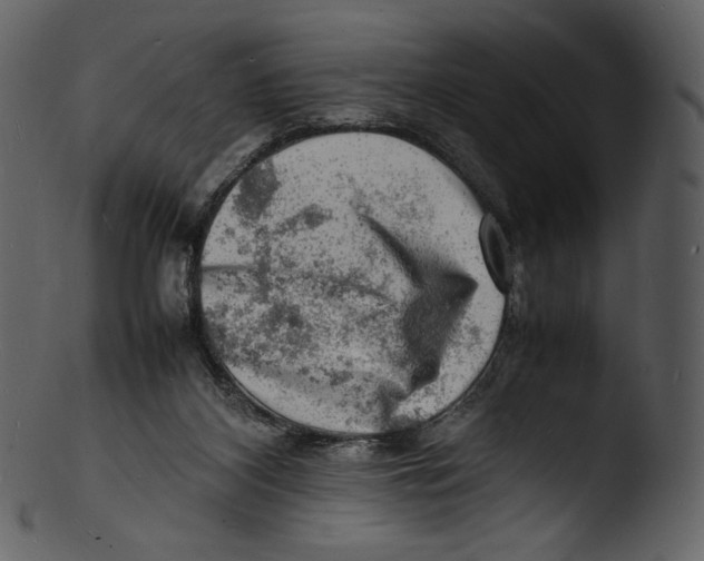 X0000103250116200809251401