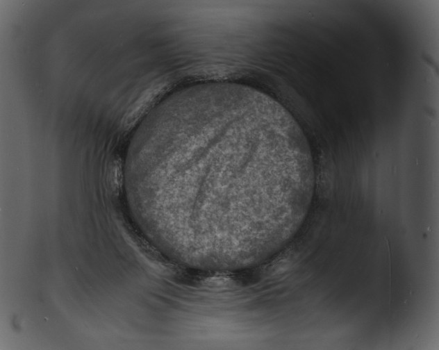 X0000103250119200809251401