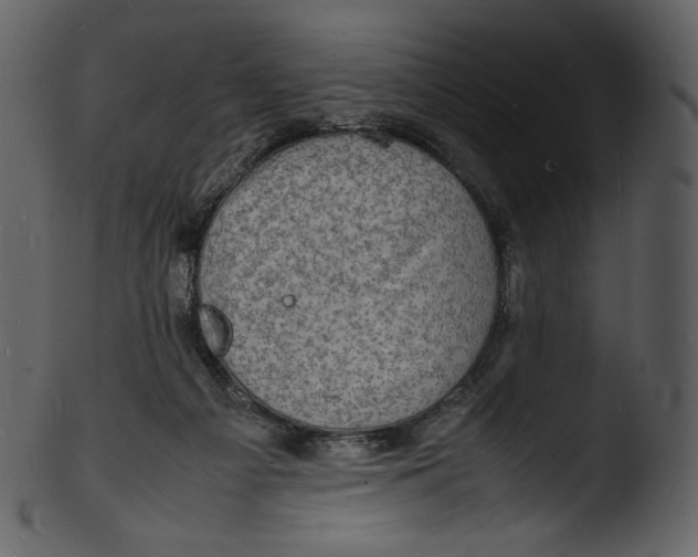 X0000103250121200809251401