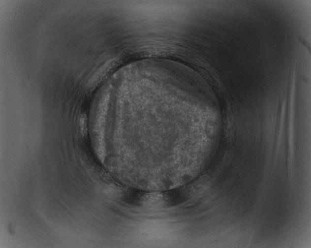 X0000103250123200809251401