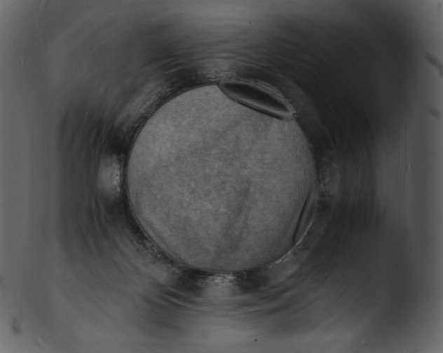 X0000103250124200809251401