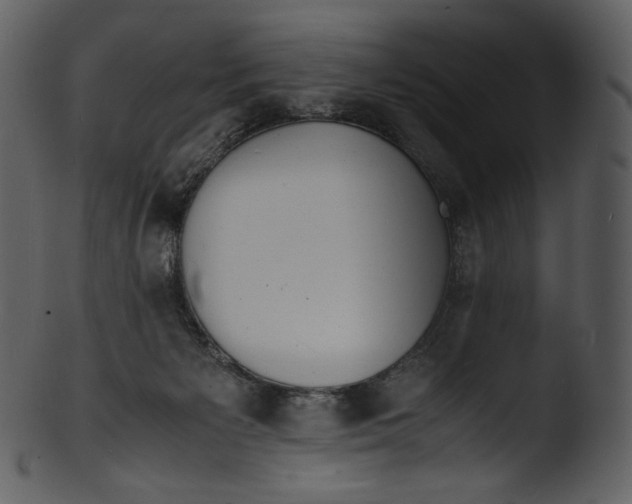 X0000103250125200809251401