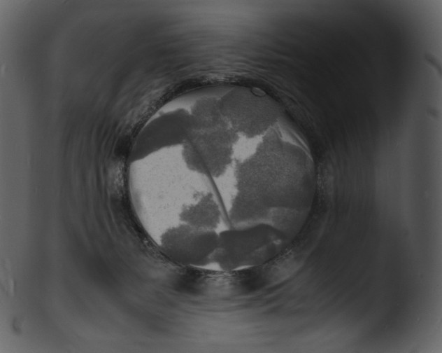 X0000103250127200809251400