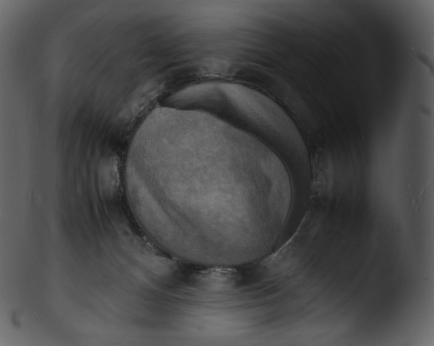 X0000103250128200809251400