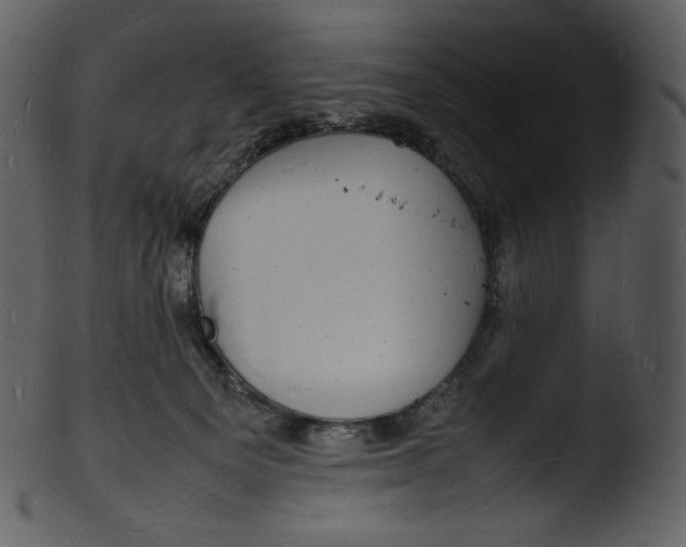 X0000103250129200809251400