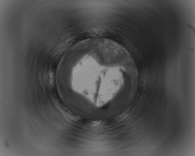 X0000103250130200809251400