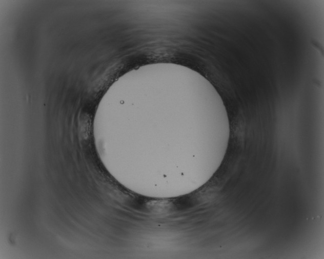 X0000103250133200809251400