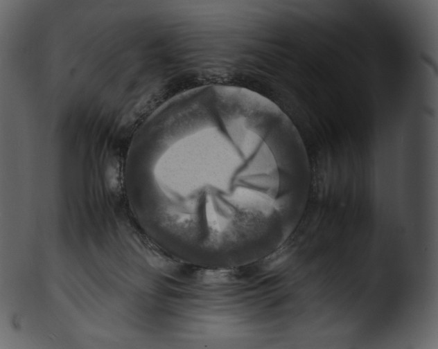 X0000103250134200809251400