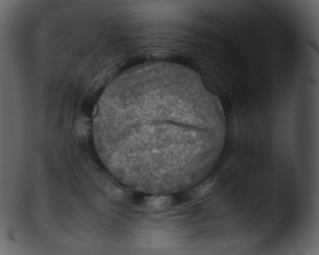 X0000103250135200809251400