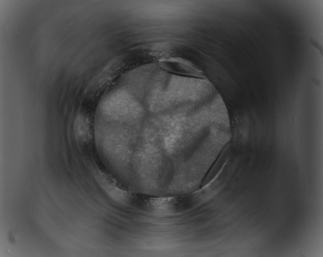 X0000103250136200809251400
