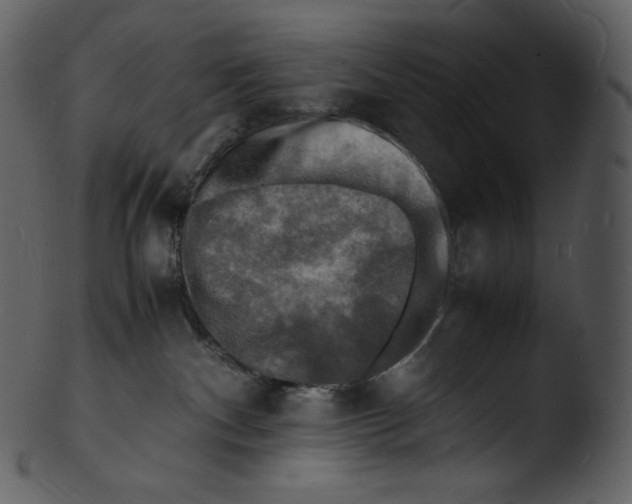 X0000103250140200809251400